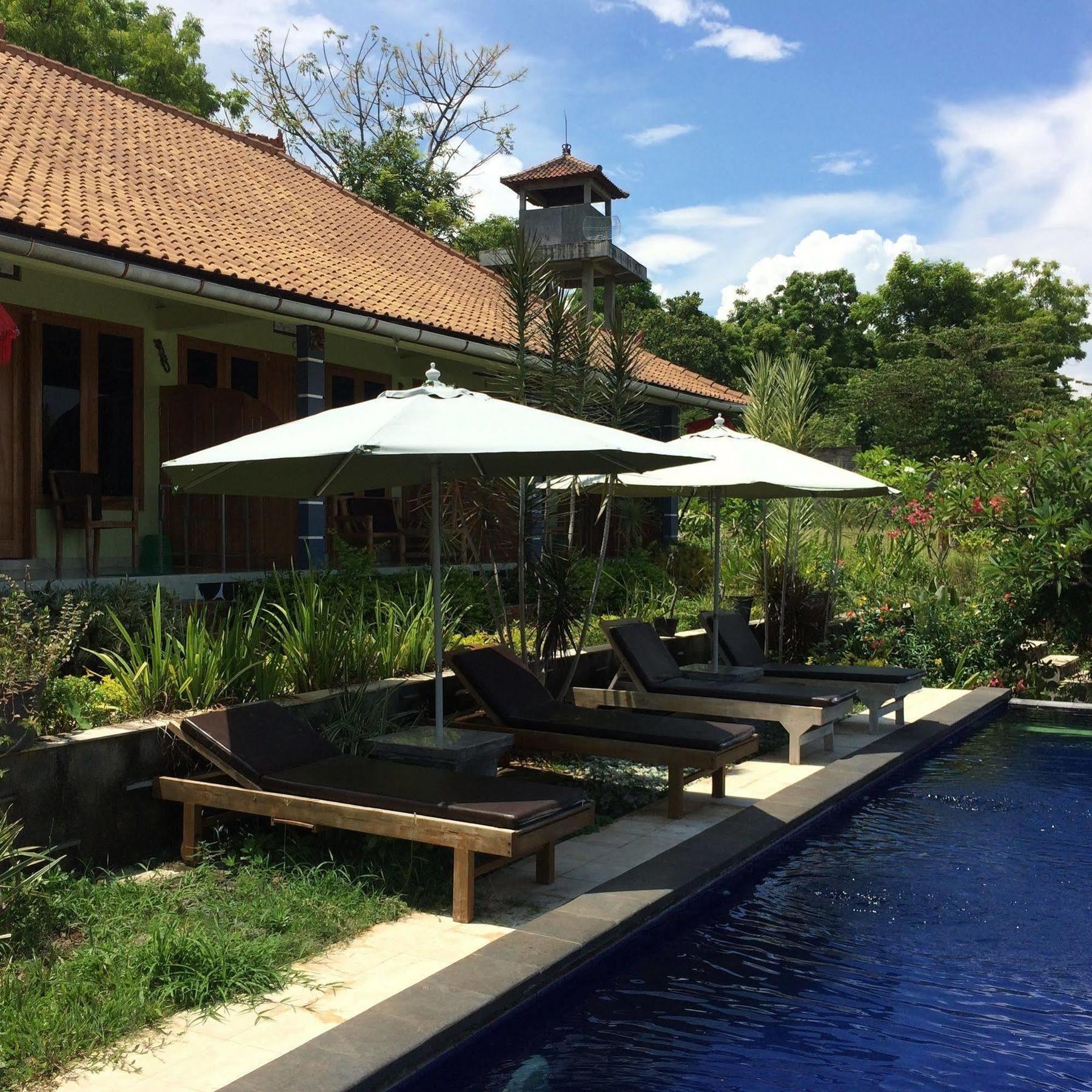 Bali Natur Ловина Экстерьер фото