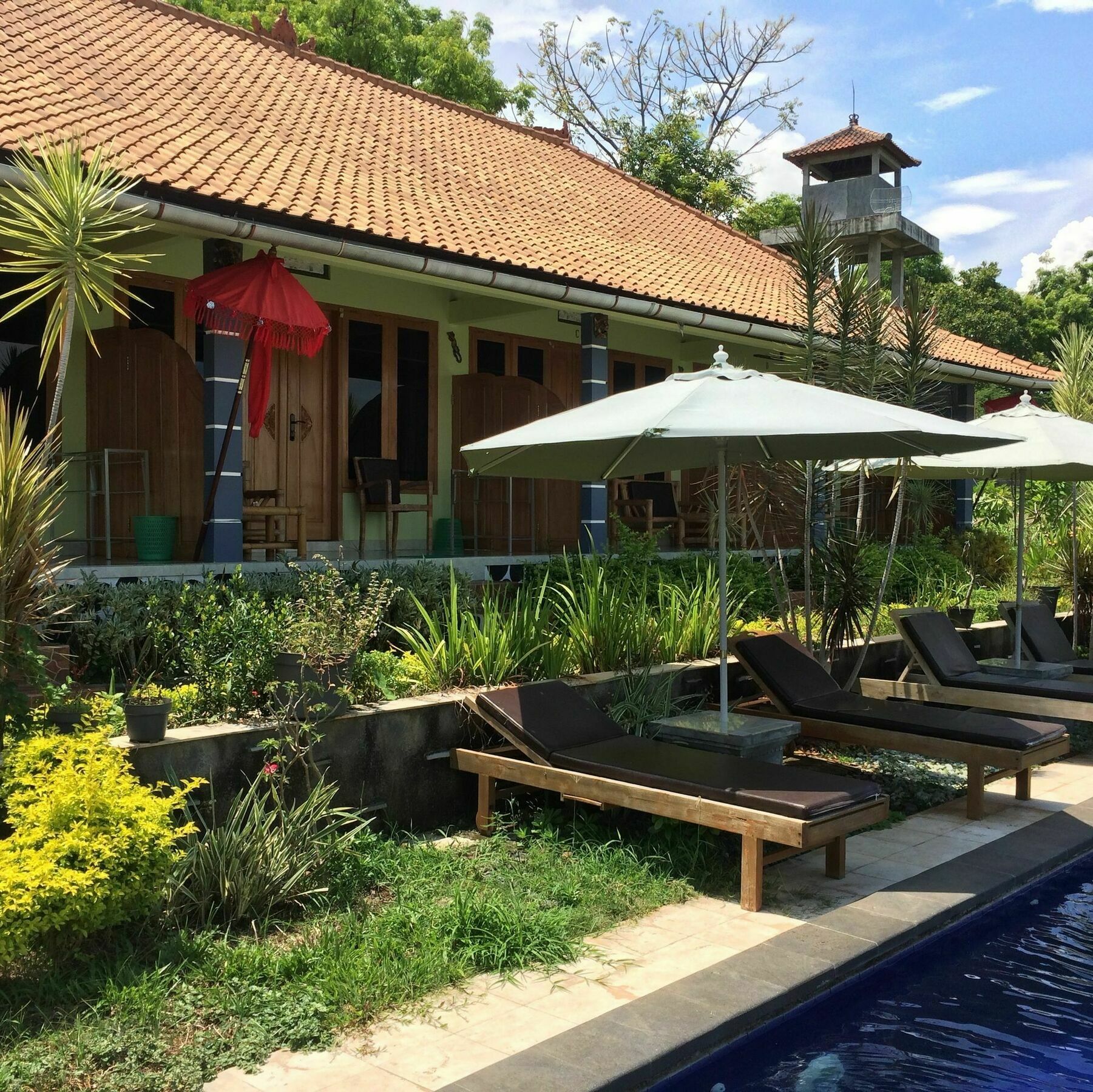 Bali Natur Ловина Экстерьер фото