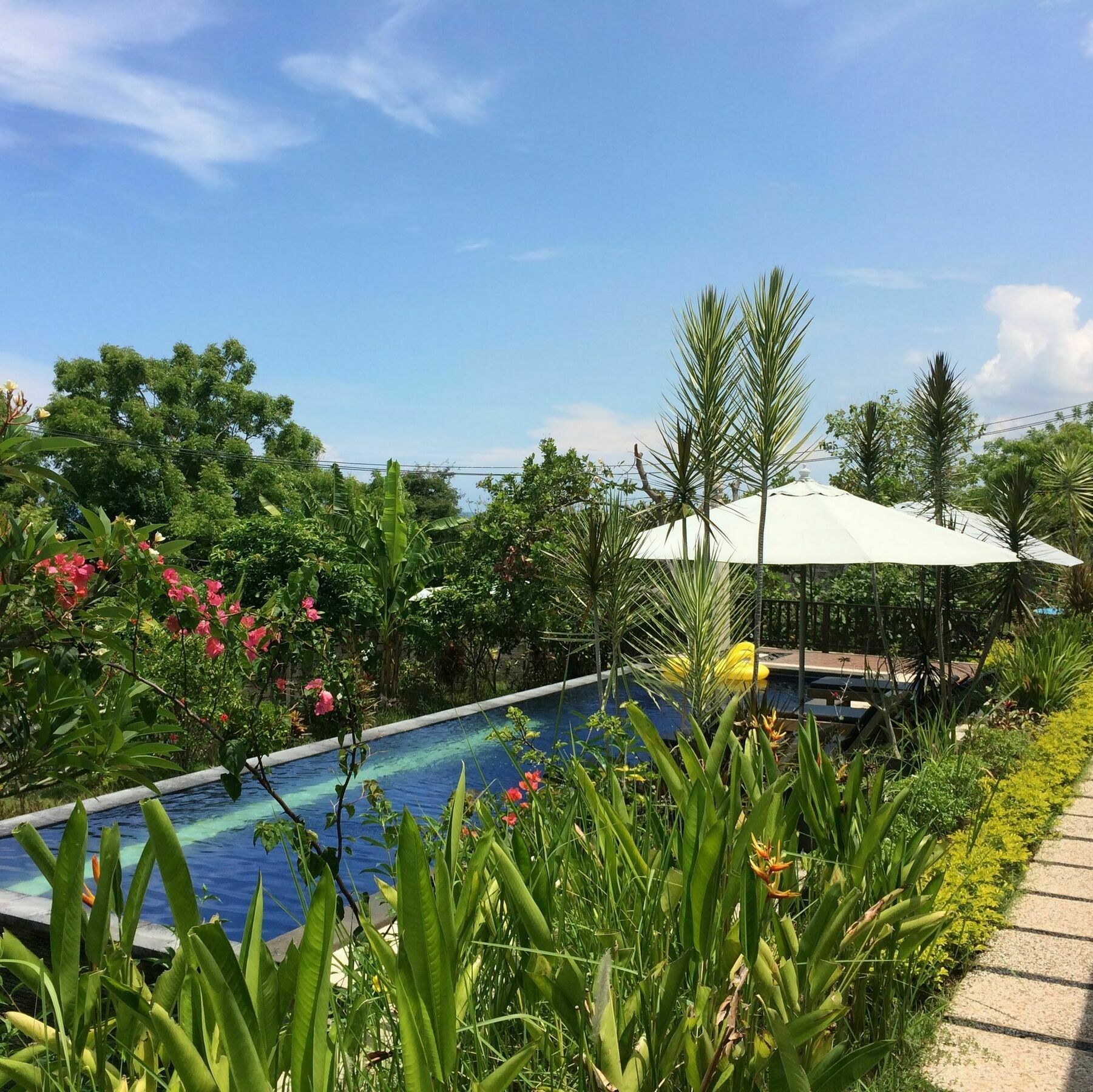 Bali Natur Ловина Экстерьер фото