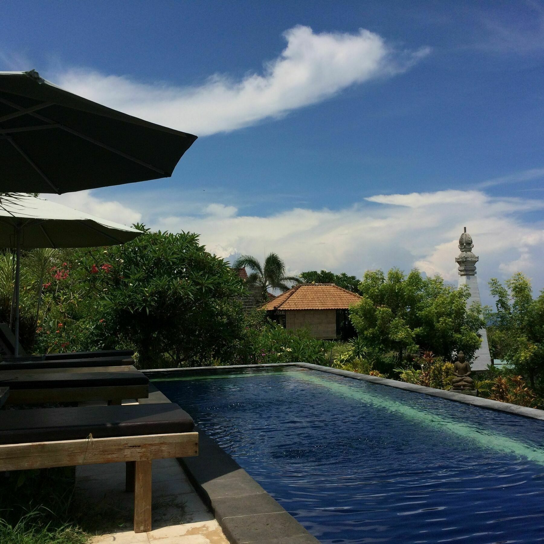 Bali Natur Ловина Экстерьер фото